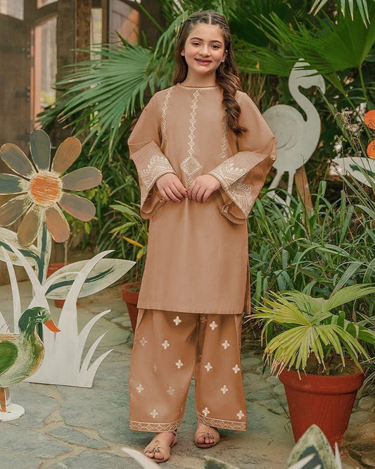 2 Pcs Girl's Cotton Embroidered Shirt And Trouser Suit