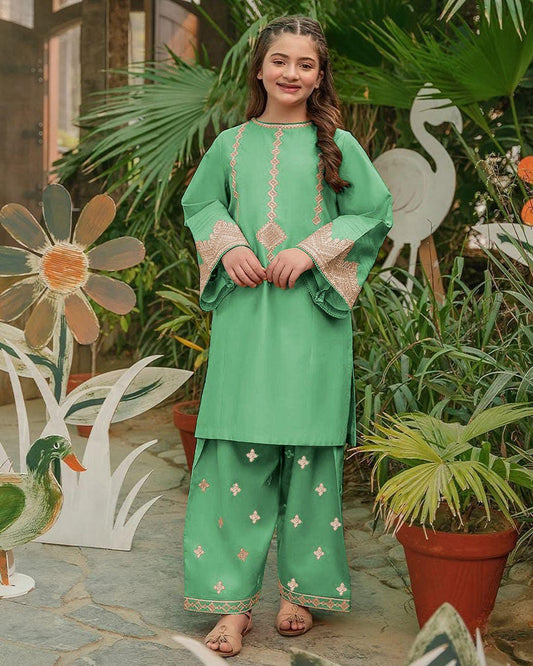 2 Pcs Girl's Cotton Embroidered Shirt And Trouser Sui