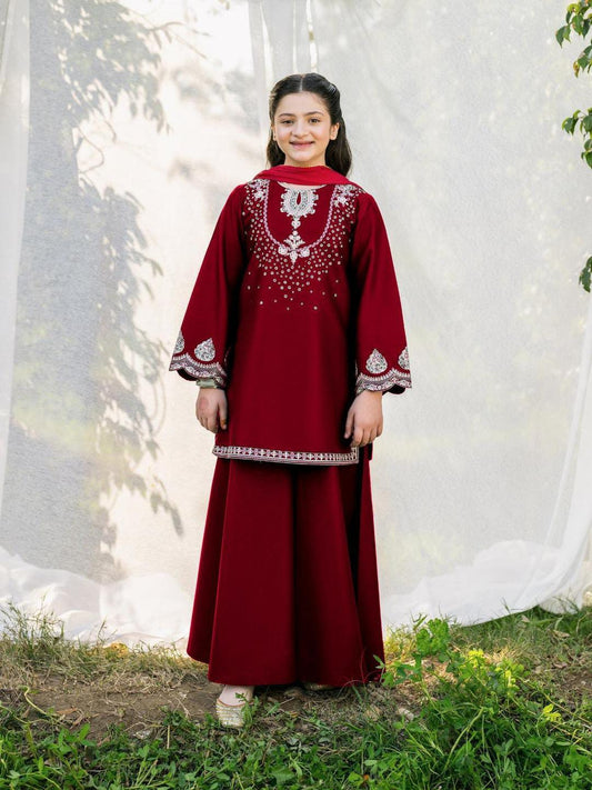2 Pcs Girl's Cotton Embroidered Shirt And Trouser Suit